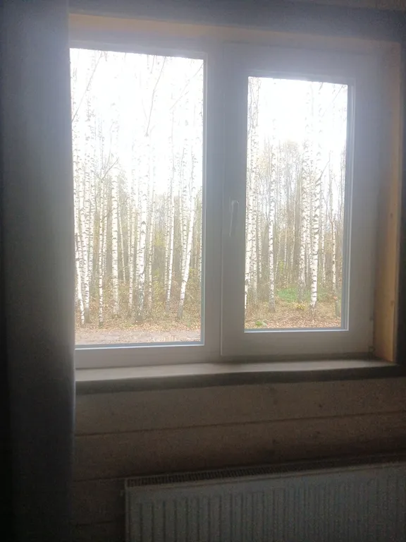 Коттедж Дом на озере — Борщево