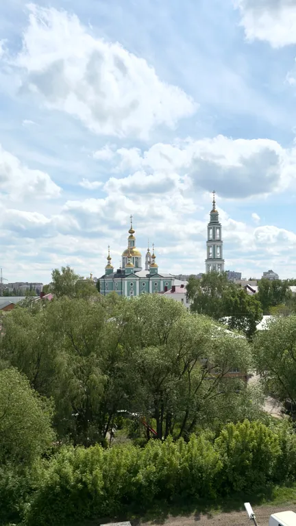 Трехкомнатная квартира в центре города