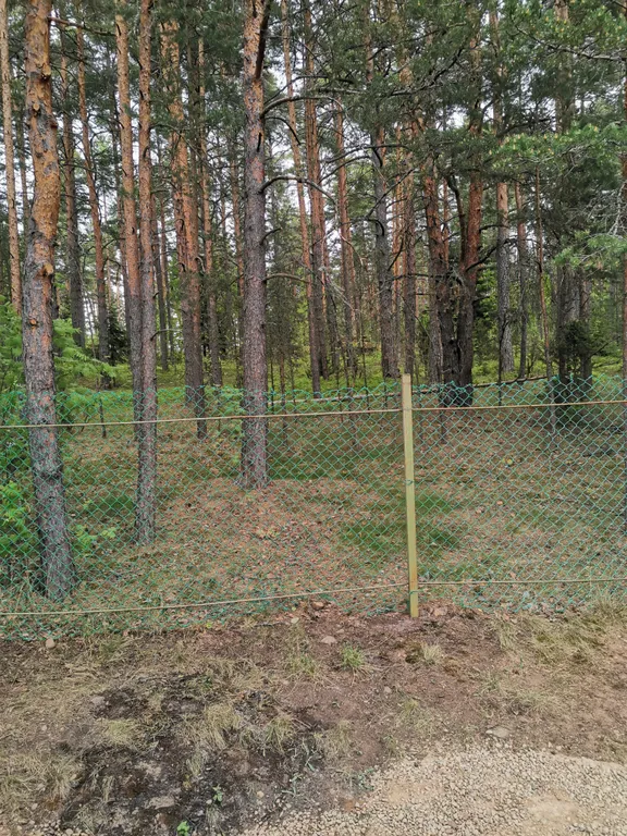 Коттедж Домик в лесу — Марьино