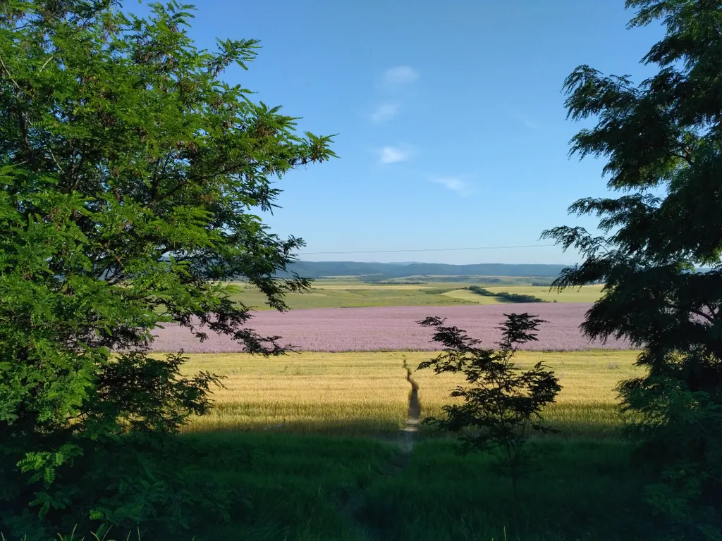 Уютный коттедж с бассейном с морской водой