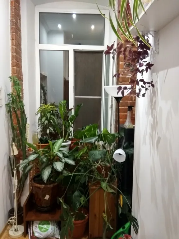 Мебелированые комнаты на Сухаревке