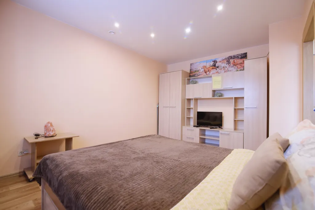 Уютная однокомнатная квартира около аэропорта Толмачево