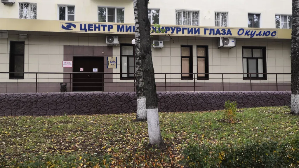 Магнолия — нежность и спокойствие