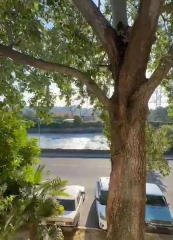 Квартира Комната в центре Сочи — Сочи