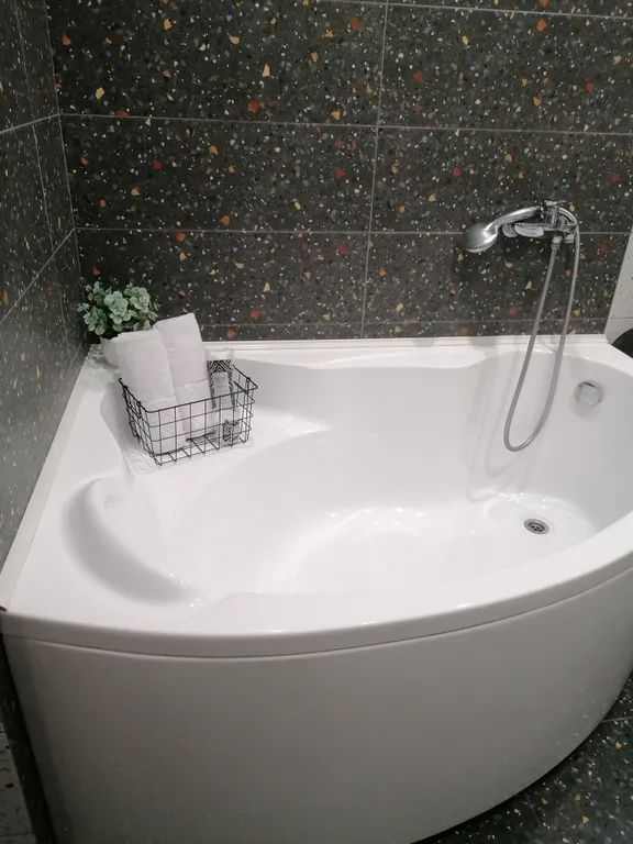 Современная студия с огромной ванной