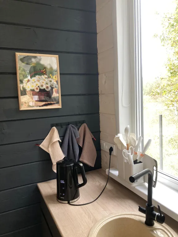 Дом на первой линии реки в тишине леса под Тверью