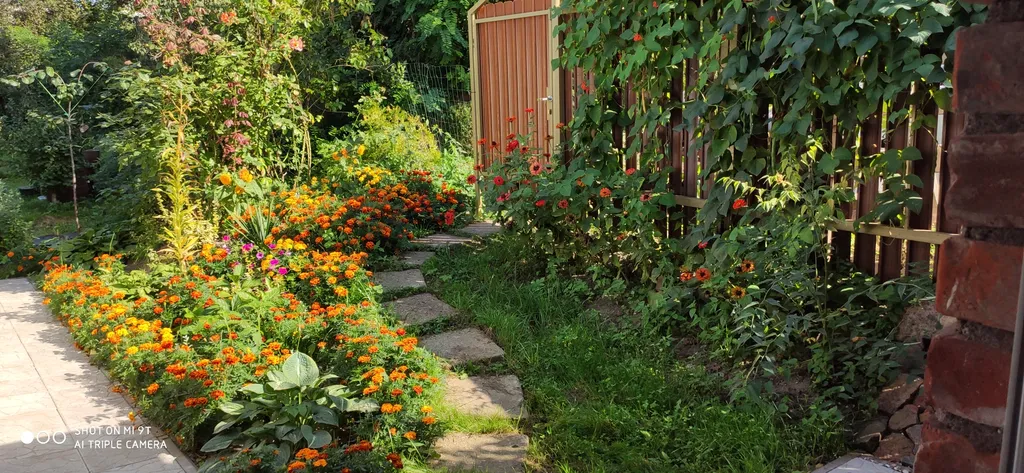 Студия с уютным двориком