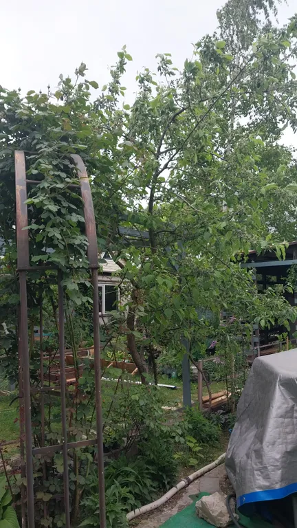 Домик с удобствами и кухней Персиковая поляна