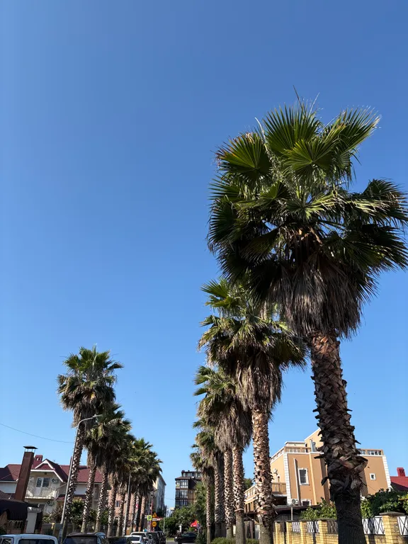 Квартира Делюкс-комната в лучшем районе Чёрного моря — Сириус