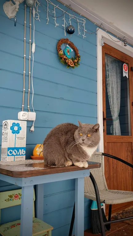 Пень да Соль