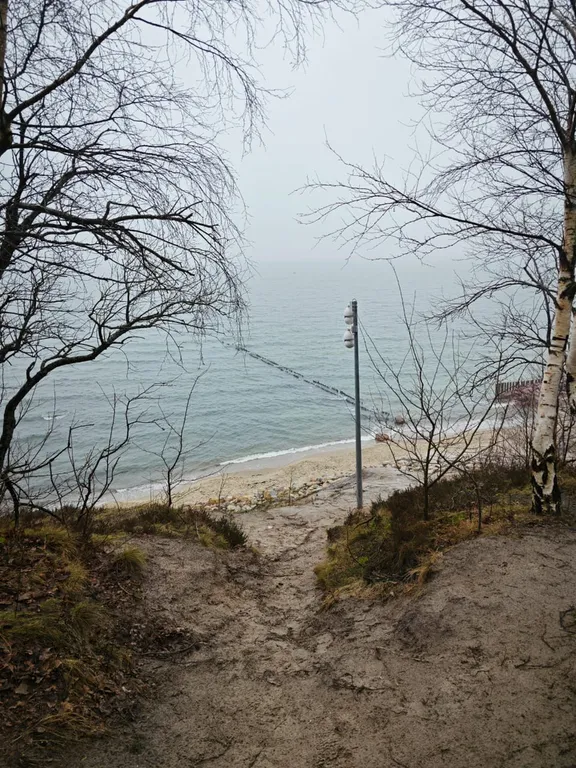 Апартаменты в спальном районе Светлогорска, р-н Отрадное