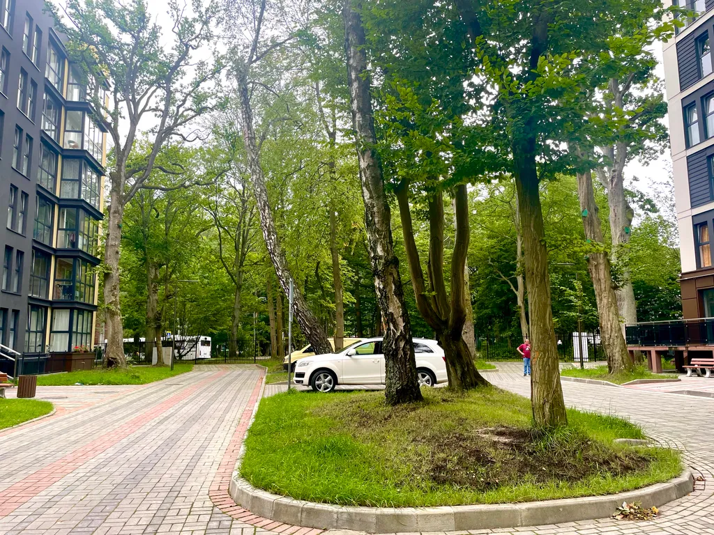 Квартира Уютная квартира на побережье Балтийского моря — Светлогорск