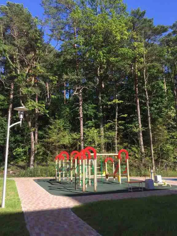 Уютная студия с видом на лес