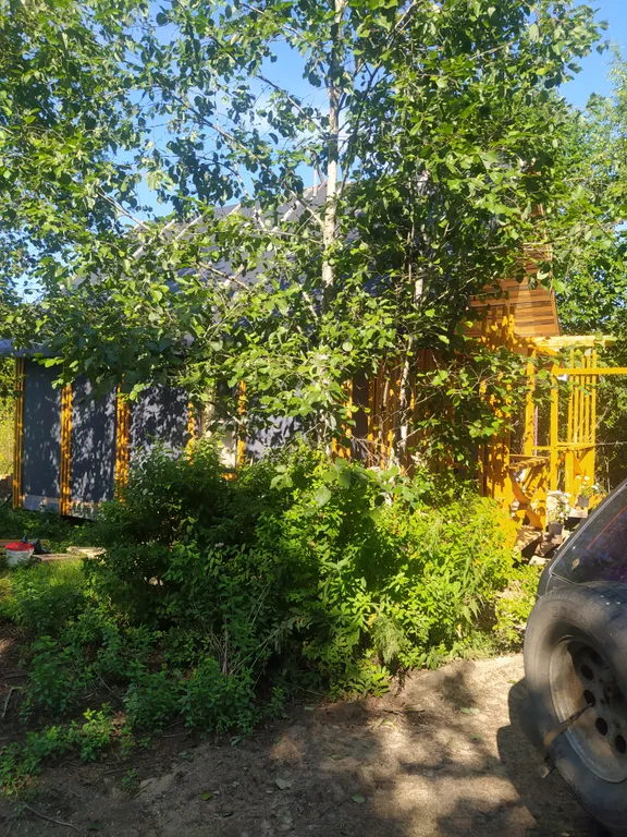 Гостевой домик на берегу реки Вытегорский район