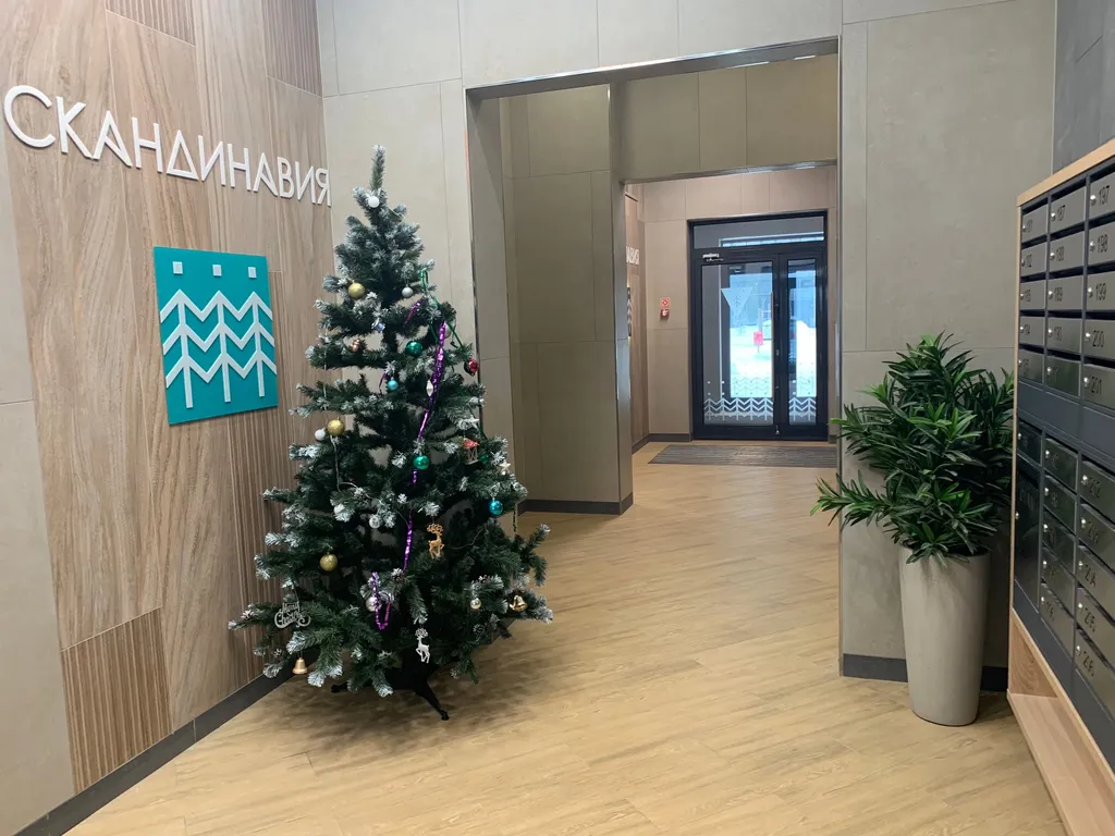 Новая студия