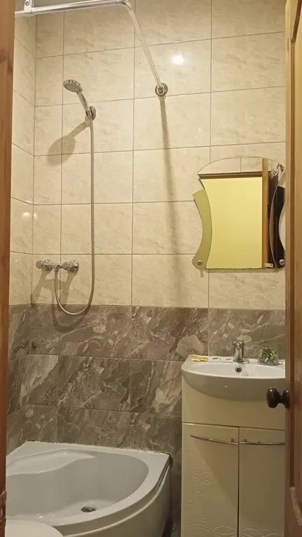 С видом на берег озера с лебедями, в историческом центре, с 1 кроватью