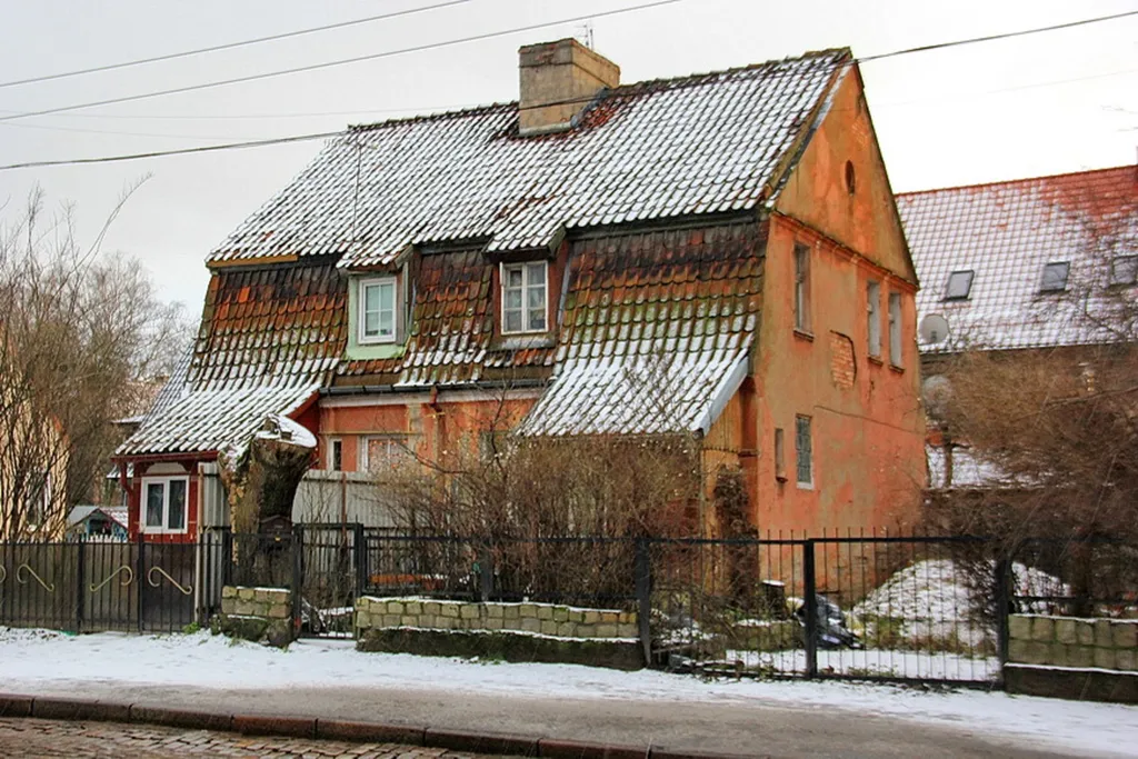 Прусский Кот  (в историческом районе Ratshof на границе с Amalienau)