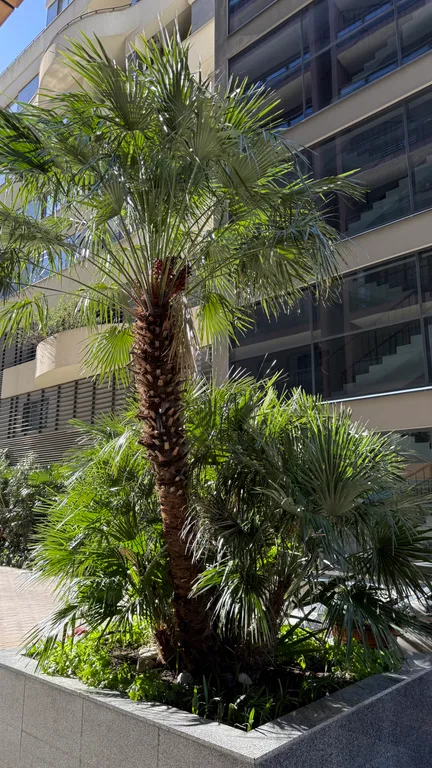 Апартаменты в приморском парке, Ялта