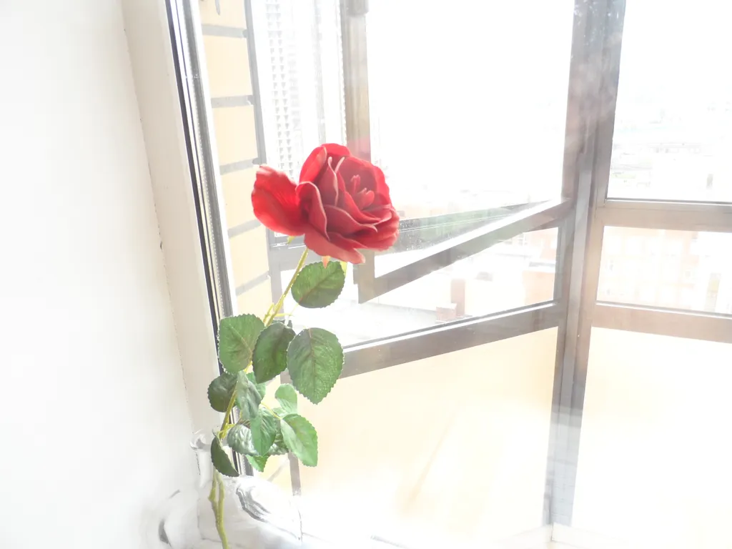 Светлая квартирка с видом на город 8 минут от м. Пареас