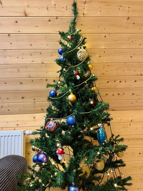 Жилой дом в деревне Сосенки