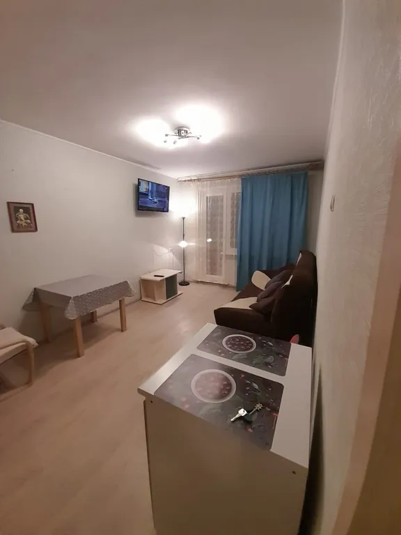 Отдельная однокомнатная уютная квартира