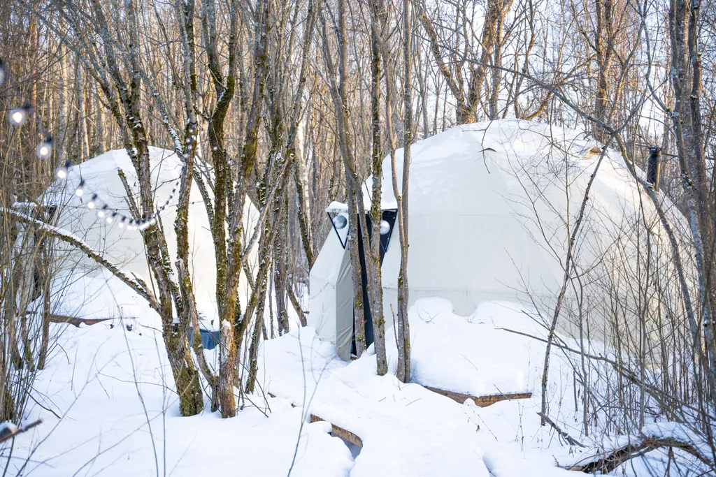 Коттедж Панорамный всесезонный купол с видом в лес — Сиверский
