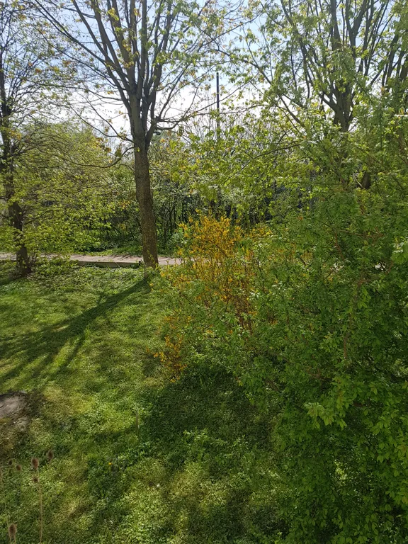 Уютная квартира недалеко от моря