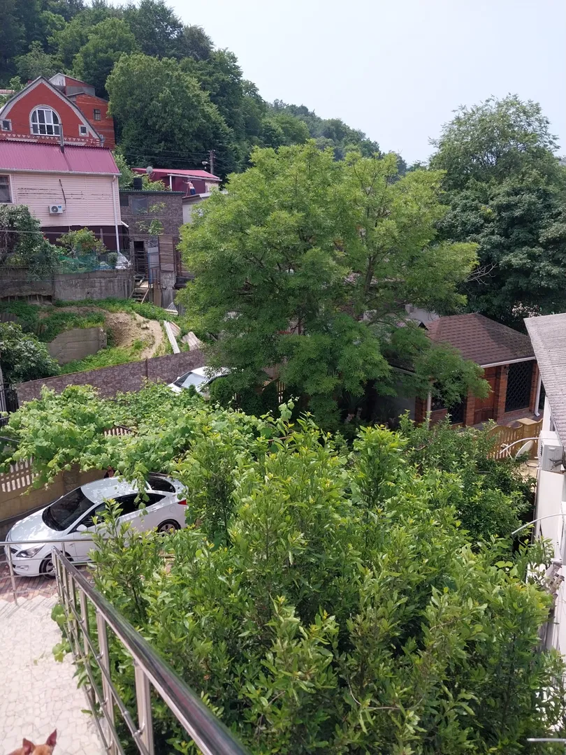 Вид на беседку
