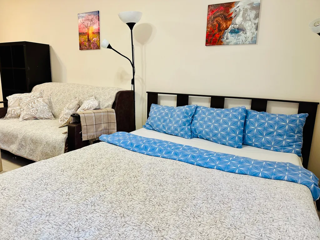 Уютная студия у метро Девяткино