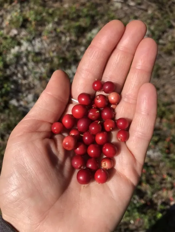 Дом на берегу озера