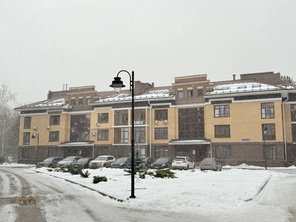 Апартамент в сосновом лесу