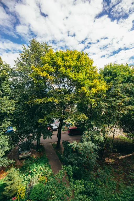 Однокомнатная квартира в центе Калининграда