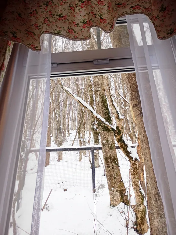 Шале с видом на лес и горы