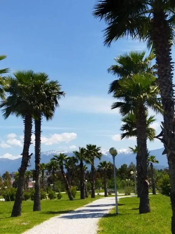 Квартира Уютная квартира с видом на горы — Сириус