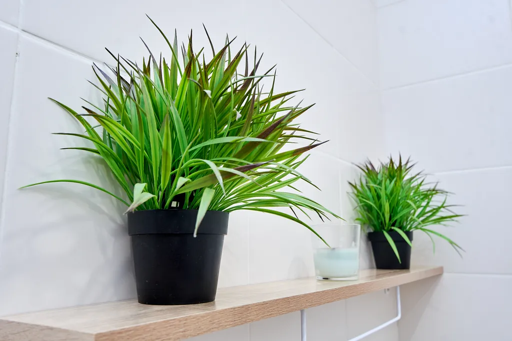 Квартира Квартира Аквапарк, Центр 10 минут, Вокзал 10 минут, 2+2 — Новосибирск