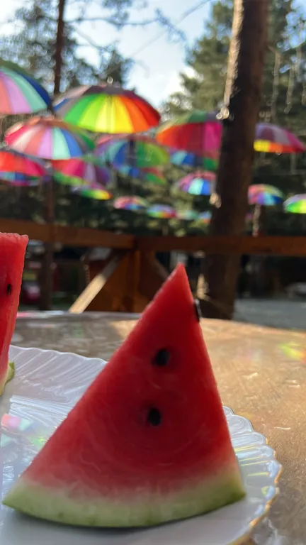 Коттедж 1-комнатный Дом — Архыз