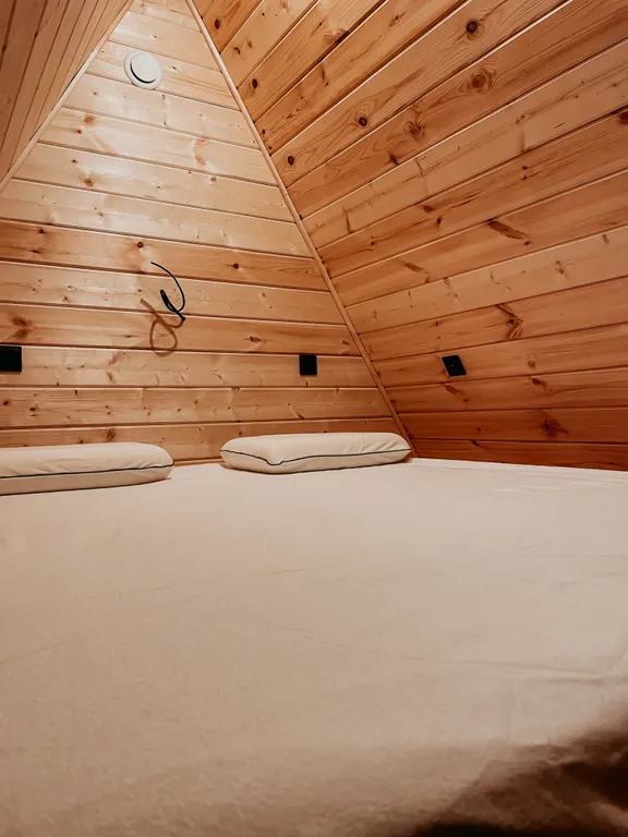 Глэмпинг в сосновом лесу