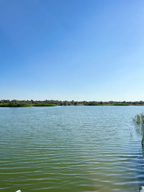 Гостевой дом Енот