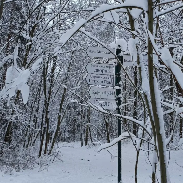 Студия с видом на Шуваловский парк