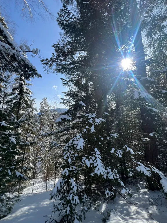 Уютный отдельно стоящий дом