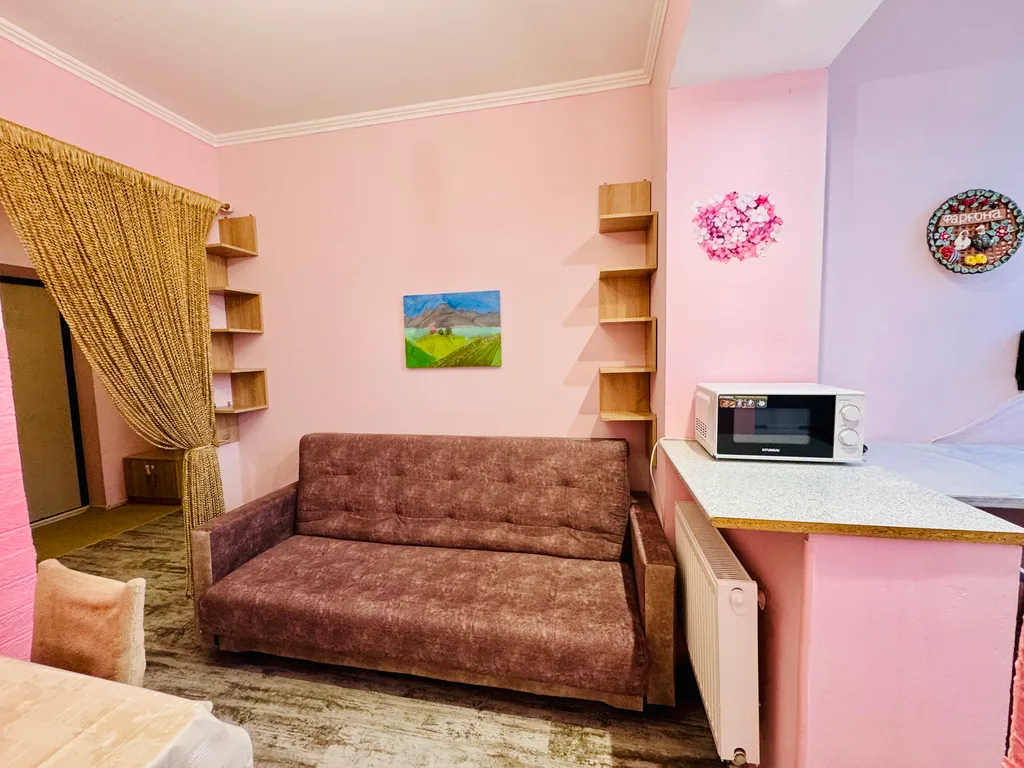 Уютная однокомнатная квартира