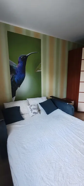 Уютная 2-комнатная квартира — аренда посуточно в Витебск