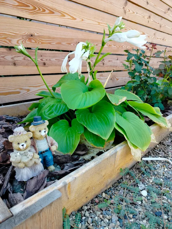 Комната с бассейном