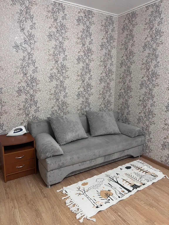 Однокомнатная квартира с бойлером — аренда посуточно в Кондопога