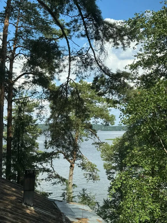 Мансардный этаж в доме на самом берегу Ладоги в сосновом лесу.