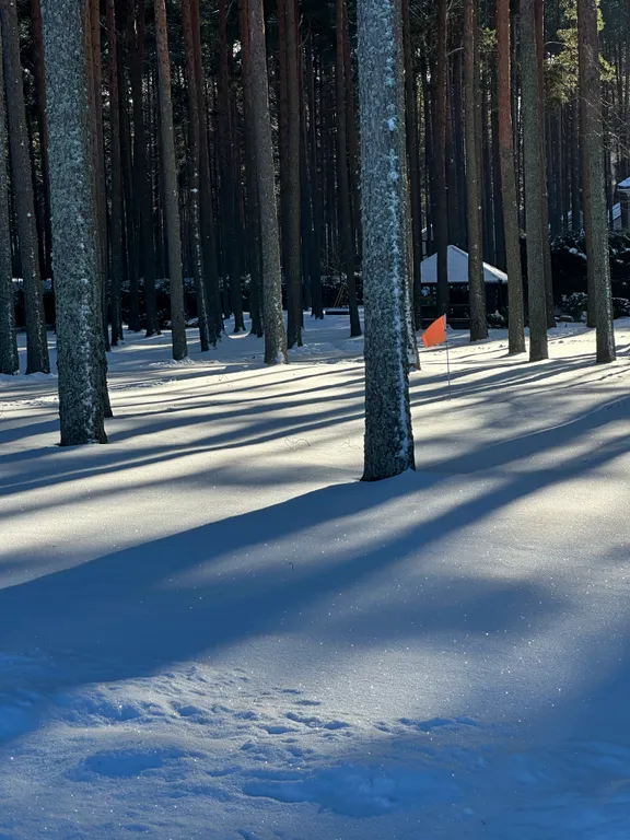 Дом на берегу Псковского озера