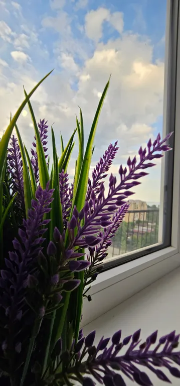 Уютная 1-я квартира с панорамным видом на горы и море