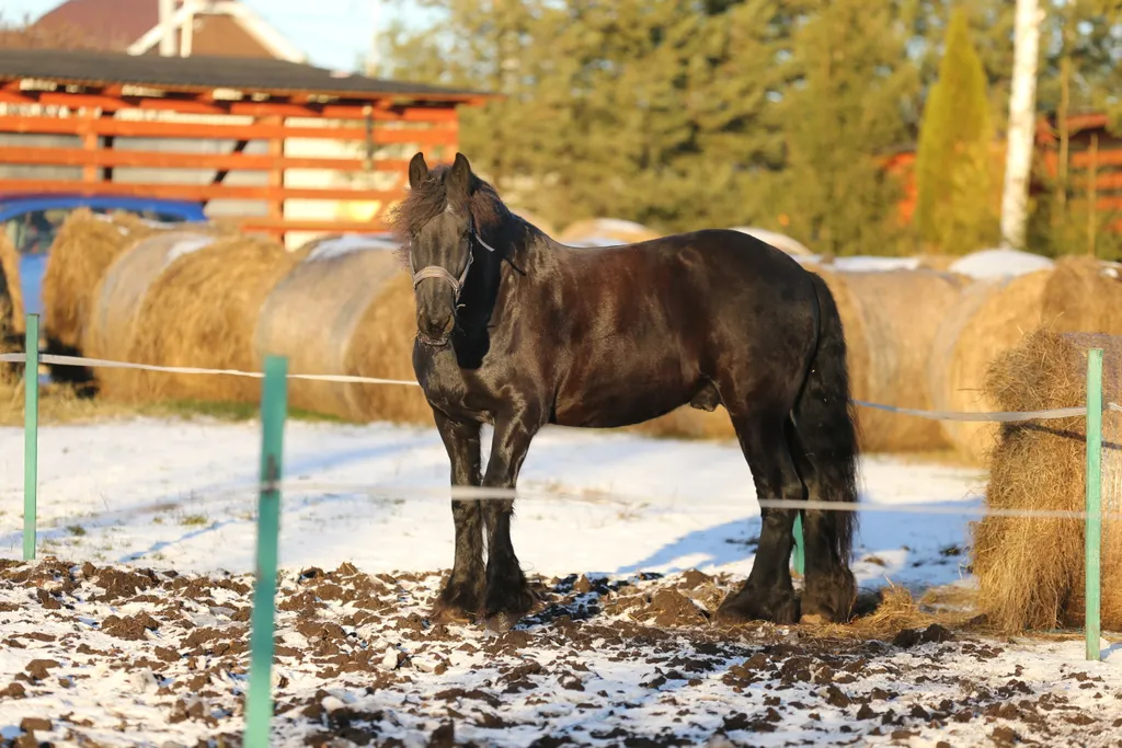 Коттедж Коттедж Хорошее место — Санкт-Петербург