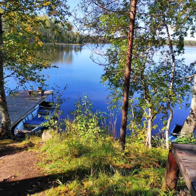 Коттедж Уютный домик — аренда посуточно в Лахденпохья