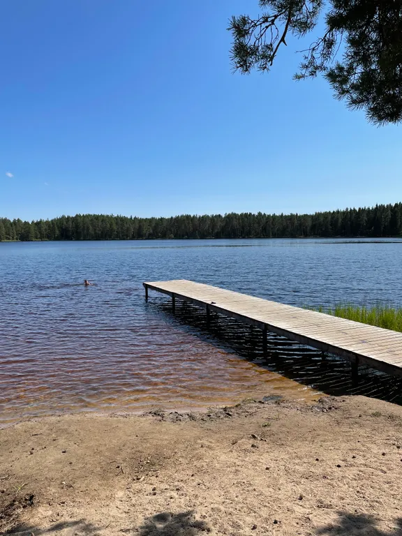 Уютный гостевой дом в Карельской деревне Вереск 1